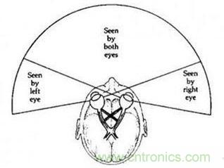 雙目重疊技術(shù)在VR中有什么作用？