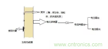 仿生傳感器的定義、原理、分類及應(yīng)用